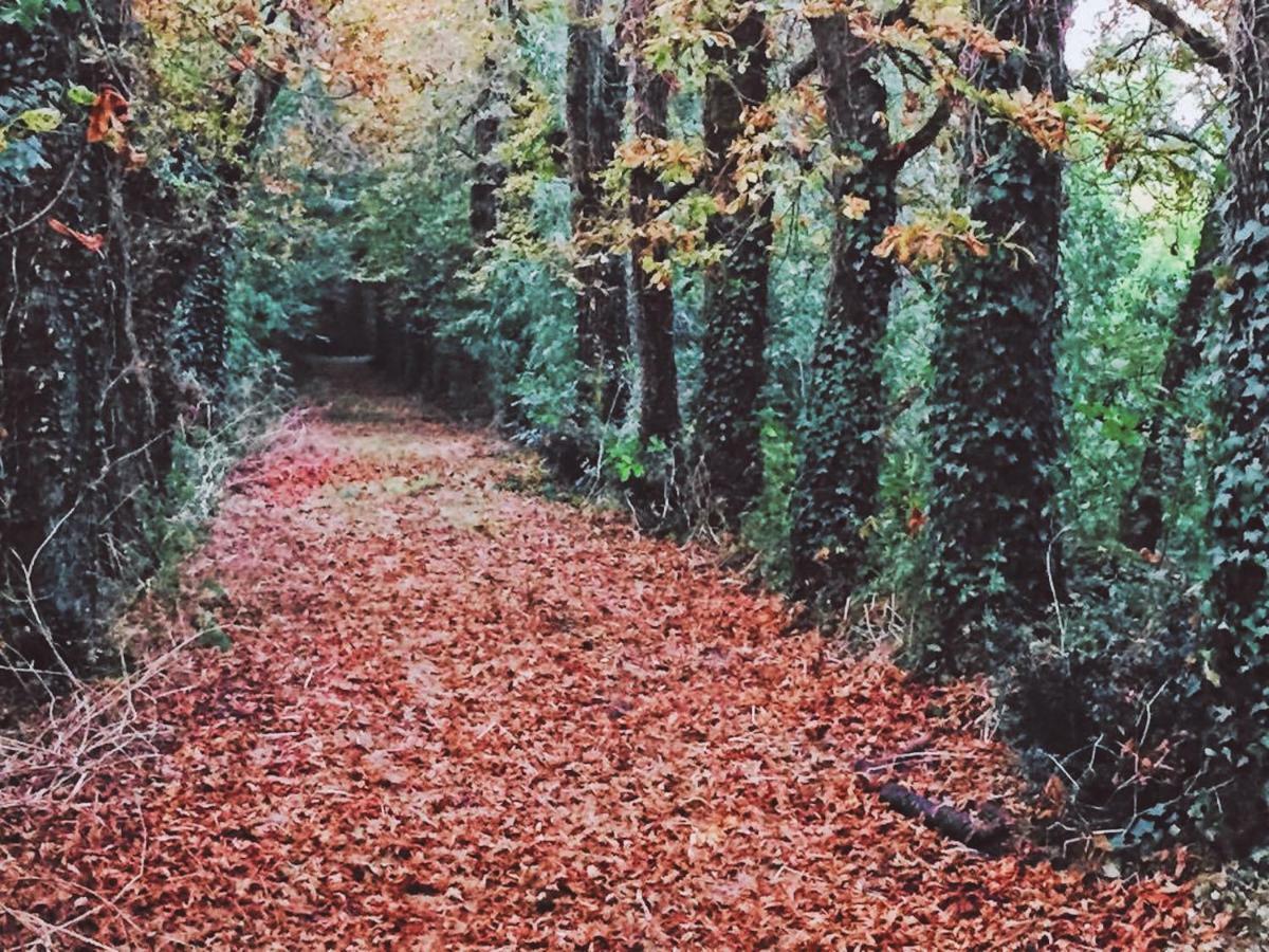 Gites Les Demeures De Valette Azay-le-Brule Zewnętrze zdjęcie