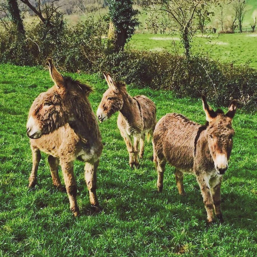 Gites Les Demeures De Valette Azay-le-Brule Zewnętrze zdjęcie