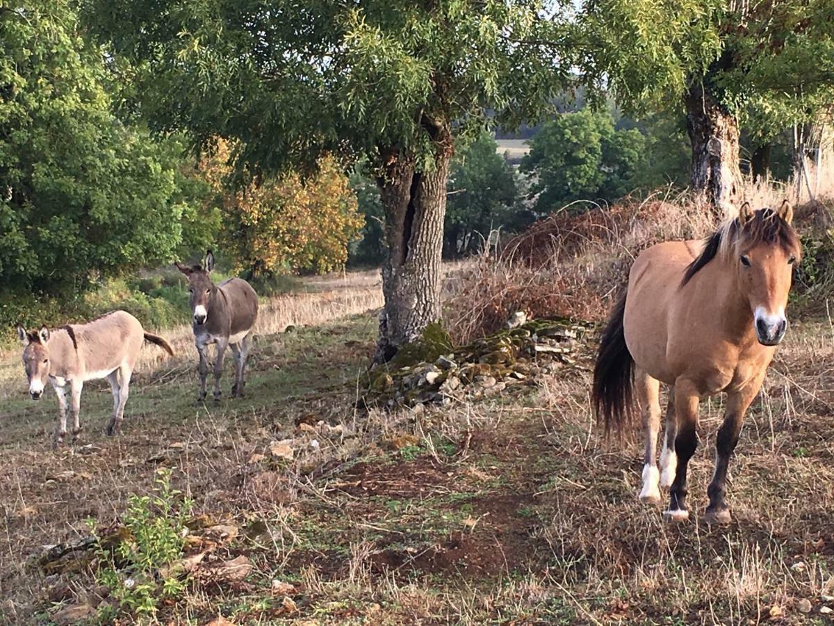 Gites Les Demeures De Valette Azay-le-Brule Zewnętrze zdjęcie